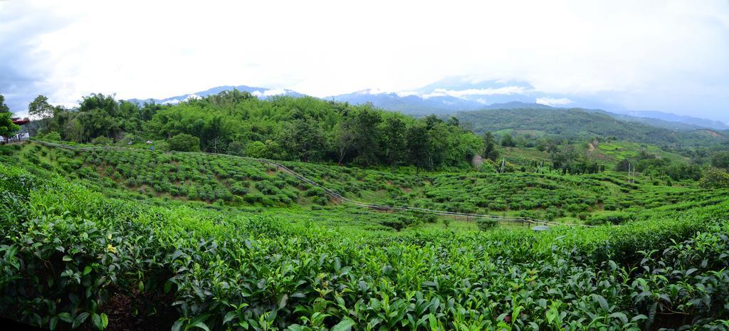 Sabah Tea Resort Ранау Екстериор снимка