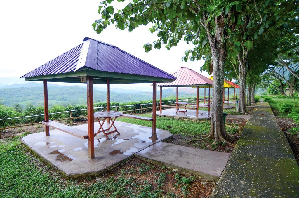 Sabah Tea Resort Ранау Екстериор снимка
