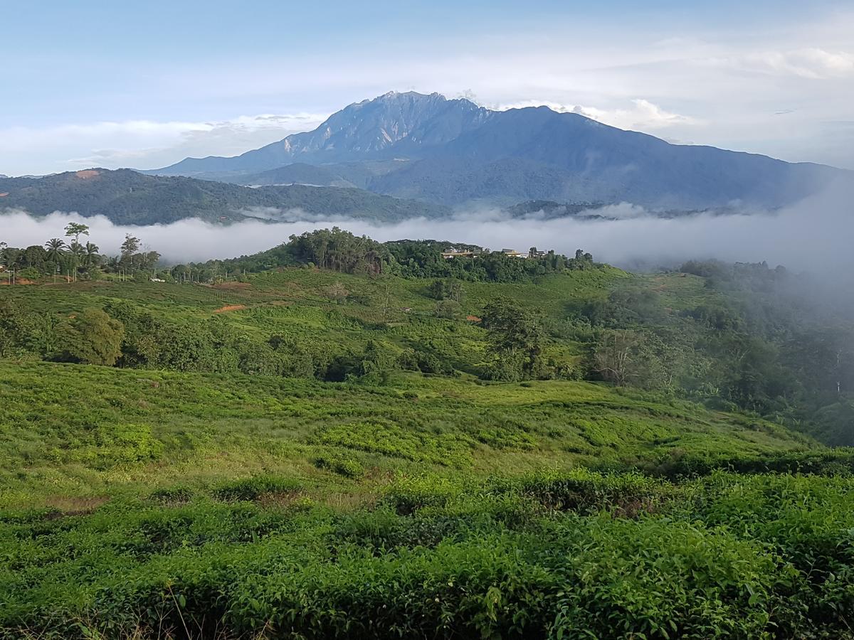 Sabah Tea Resort Ранау Екстериор снимка