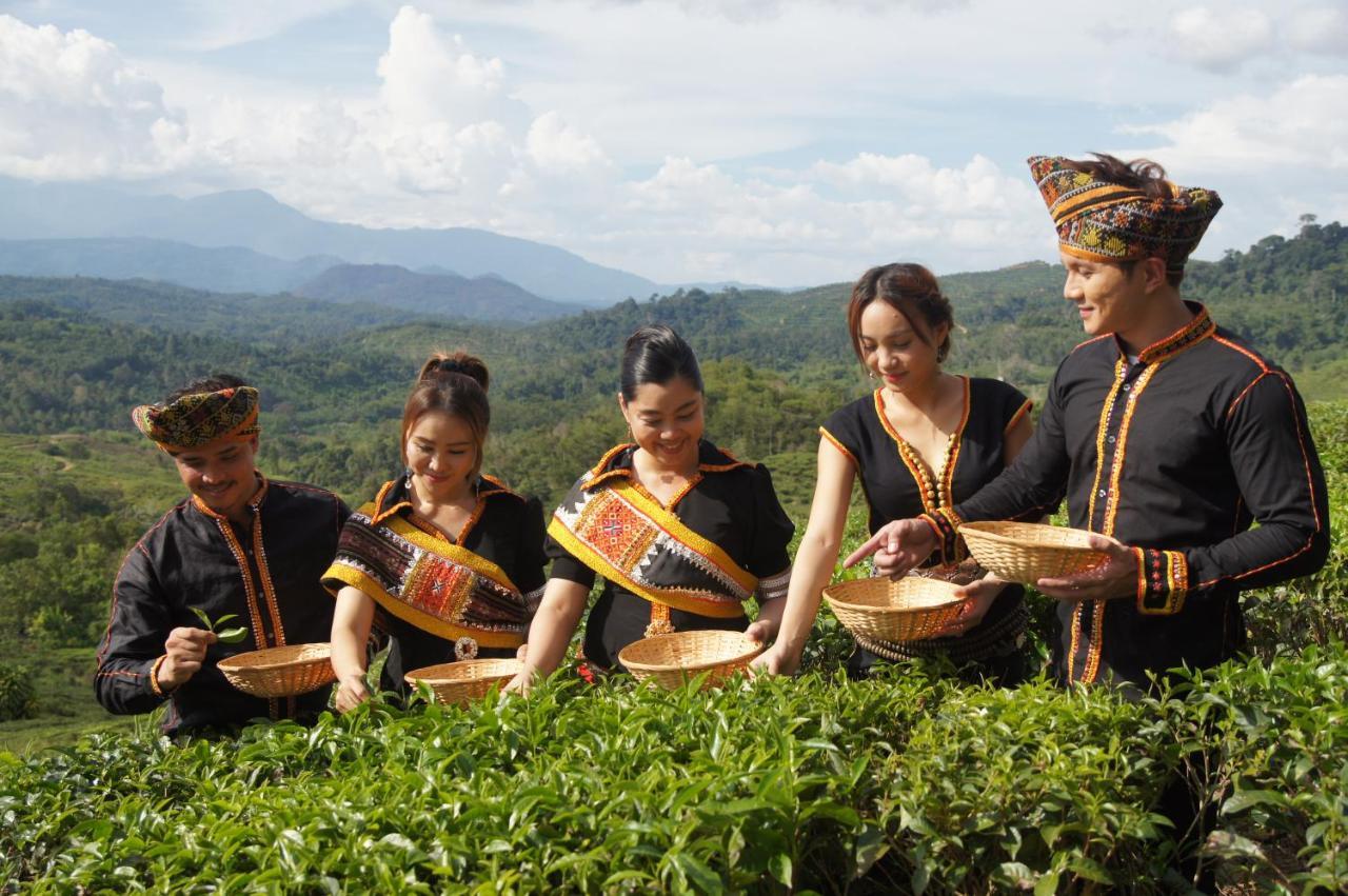 Sabah Tea Resort Ранау Екстериор снимка