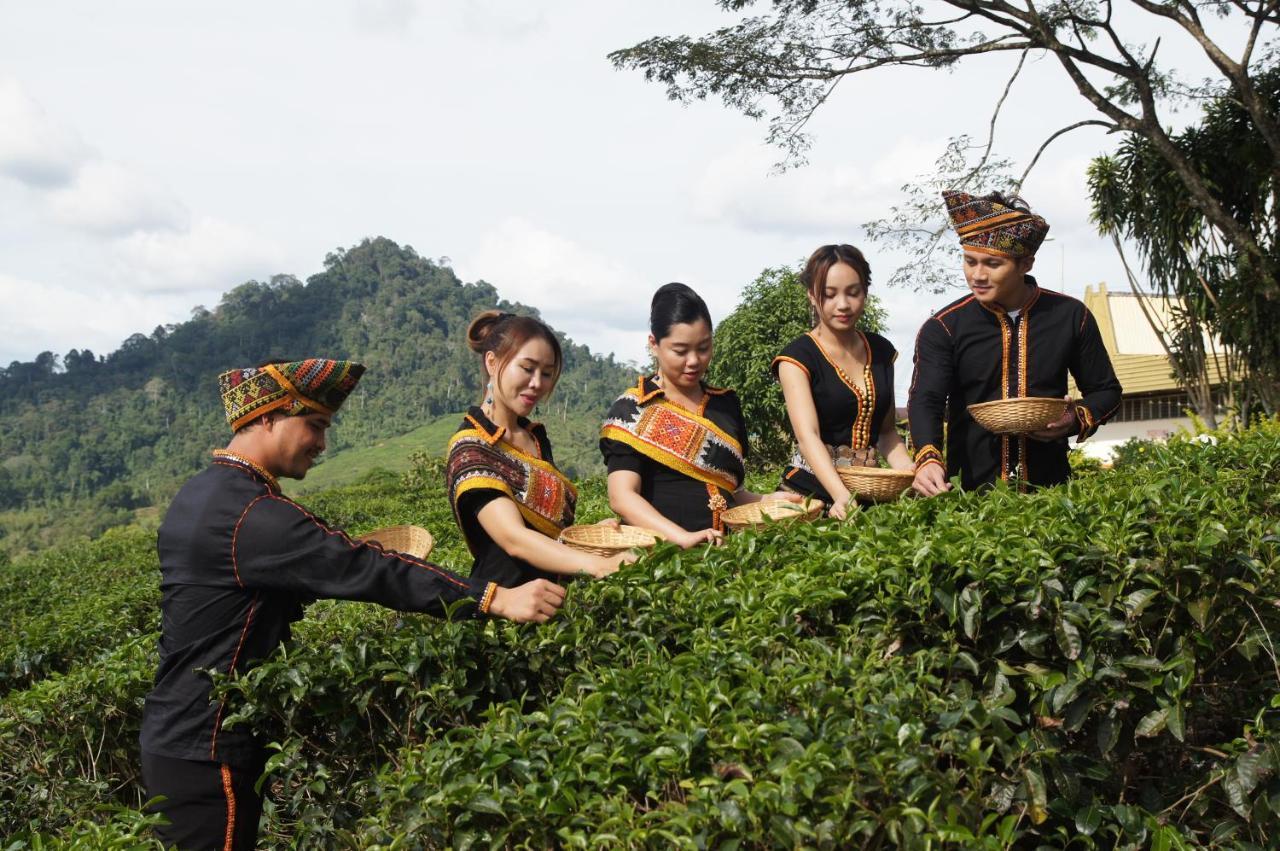 Sabah Tea Resort Ранау Екстериор снимка