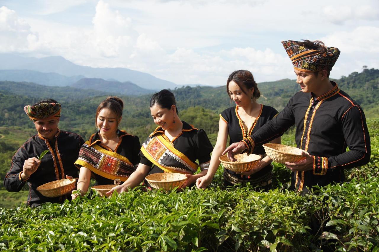 Sabah Tea Resort Ранау Екстериор снимка