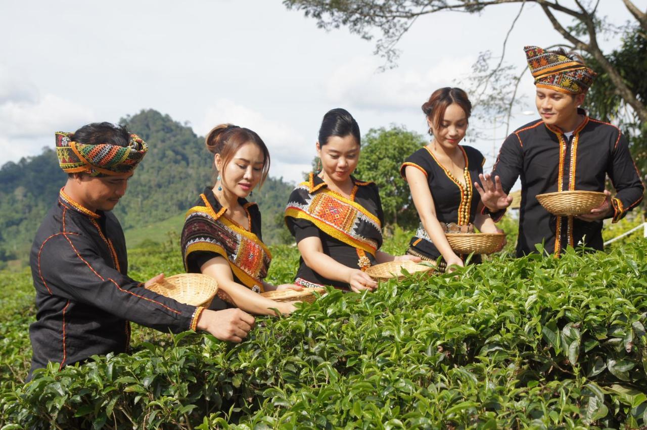 Sabah Tea Resort Ранау Екстериор снимка