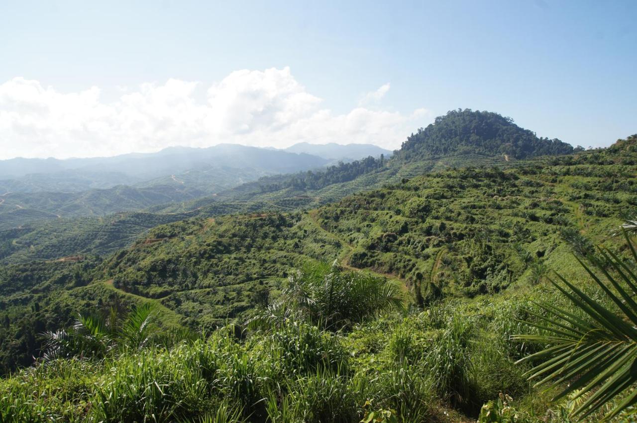 Sabah Tea Resort Ранау Екстериор снимка
